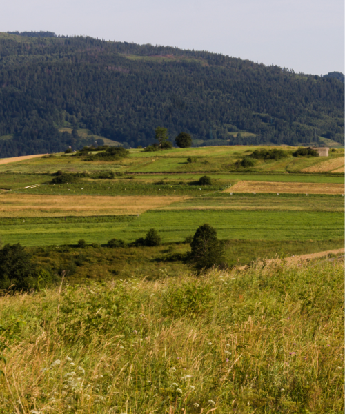 klimkowka-beskid-niski-4
